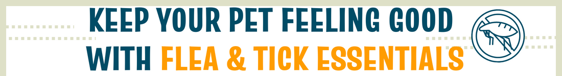 Keep Your Pet Feeling Good with Flea & Tick Essentials